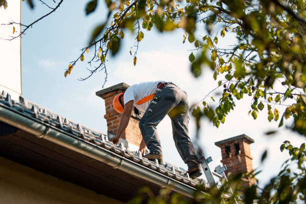 Quick and Trustworthy Emergency Roof Repair Services in Silver Lakes, CA